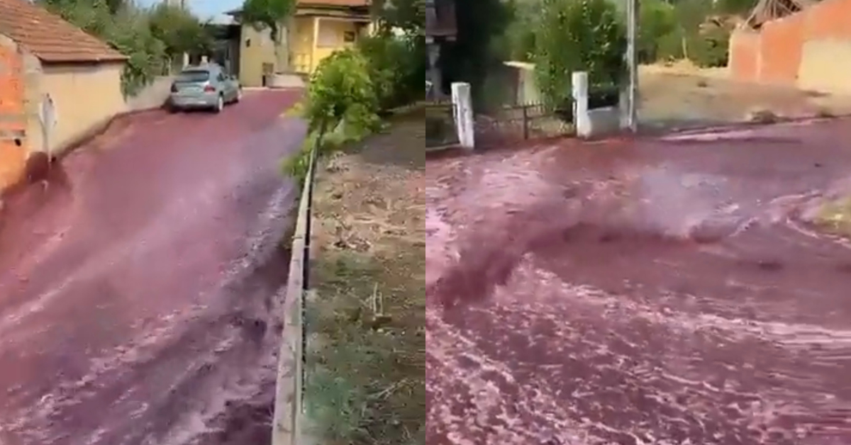 Red Wine Floods Small Portuguese Town After Distillery's Massive Storage Tanks Burst
