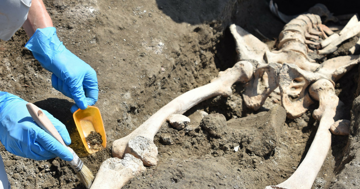 Unearthed Pompeii Victim Who Met An Unfortunate End Gets Mocked By The Internet