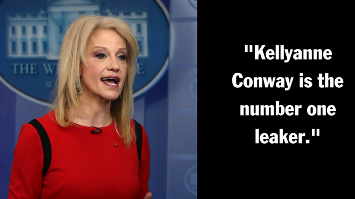 New Book Claims Kellyanne Conway Is the '#1 Leaker' in the White House