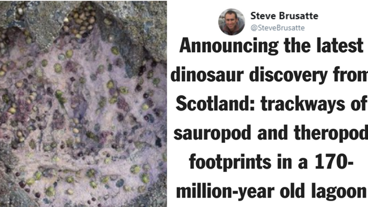 Rare Middle Jurassic Era Dinosaur Footprints Discovered on Scotland's Isle of Skye