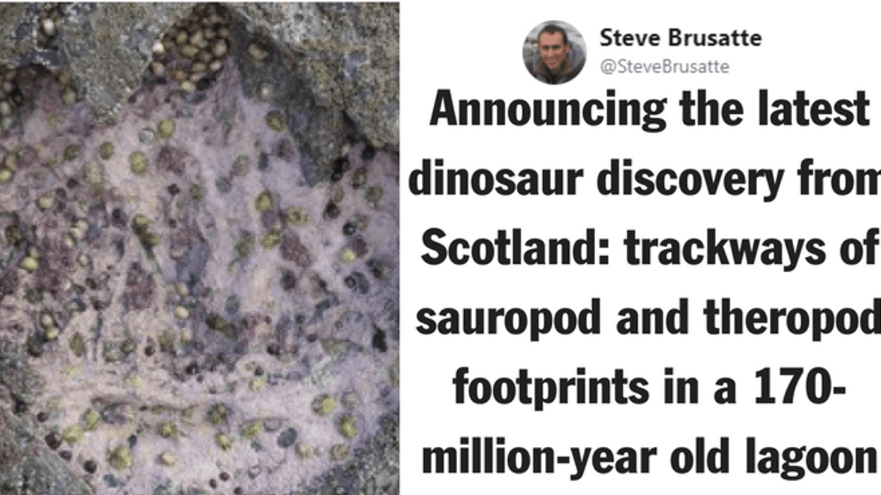 Rare Middle Jurassic Era Dinosaur Footprints Discovered on Scotland's Isle of Skye