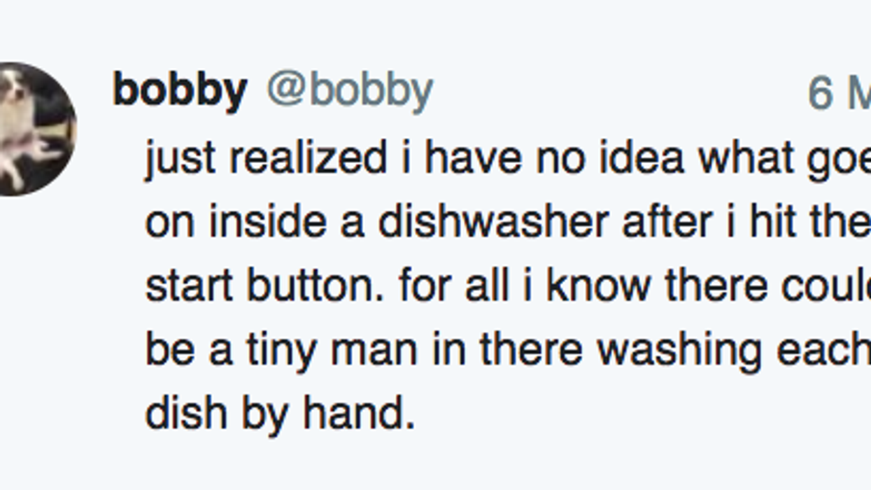 Someone Pondered What Happens After You Turn On A Dishwasher—And The Internet Has Theories
