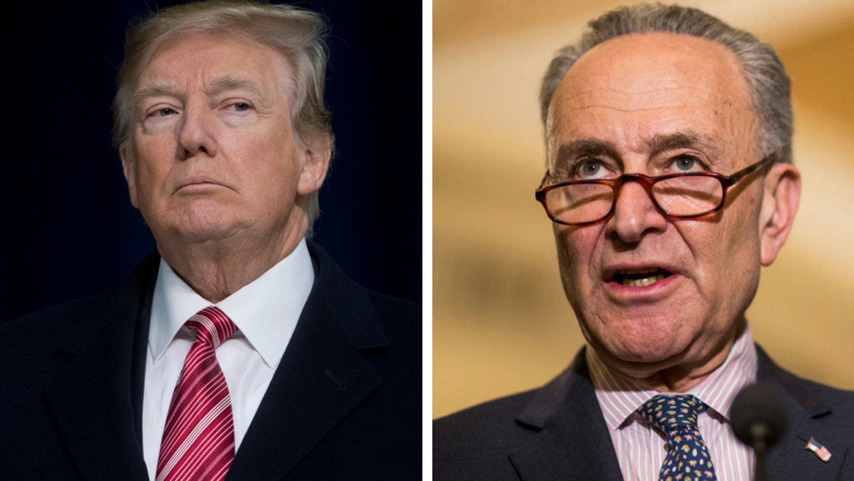 Chuck Schumer Just Used Melania's New White House Initiative to Masterfully Troll Donald Trump