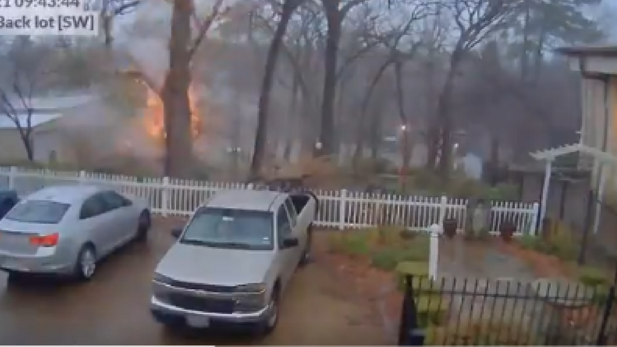 Jarring Video Proves Exactly Why Standing Under A Tree During A Thunderstorm Is A Bad Idea