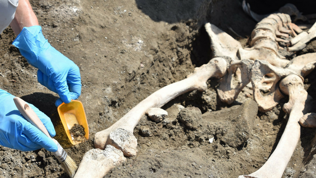 Unearthed Pompeii Victim Who Met An Unfortunate End Gets Mocked By The Internet