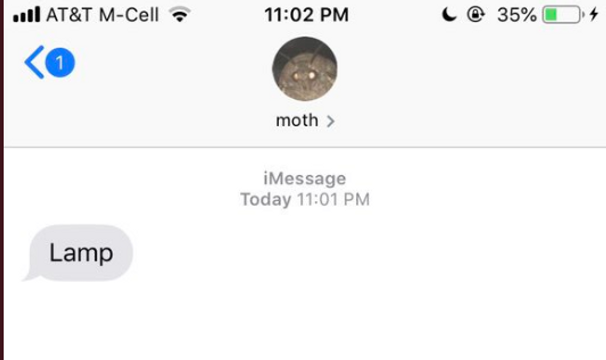 Moth Memes Are Now A Viral Trend--And We're Drawn Like Moths To A Flame 🔥