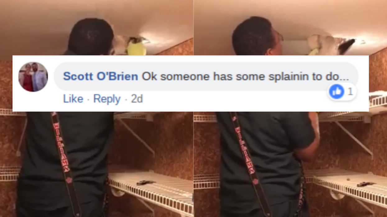 Firefighters Come To The Rescue After Poor Pup Gets Stuck In Ceiling Duct 😢