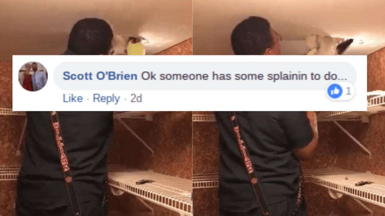 Firefighters Come To The Rescue After Poor Pup Gets Stuck In Ceiling Duct 😢