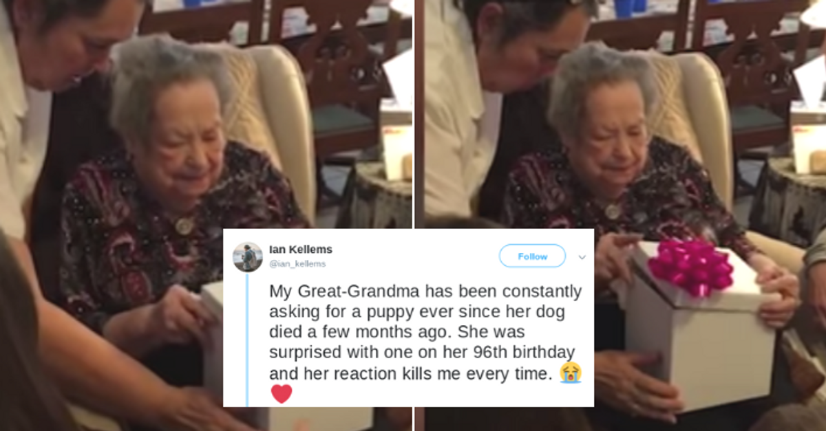 Family Gives Great-Grandma A Puppy For Her 96th Birthday—And Her Reaction Is Everything 😍