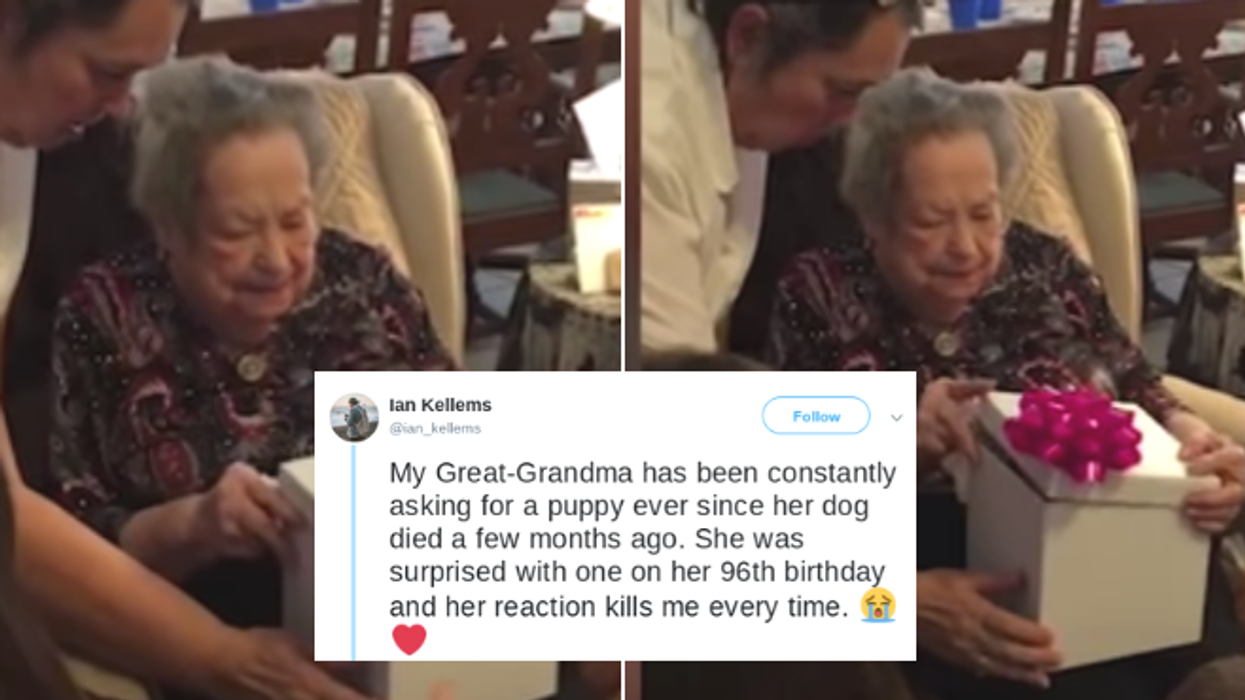 Family Gives Great-Grandma A Puppy For Her 96th Birthday—And Her Reaction Is Everything 😍