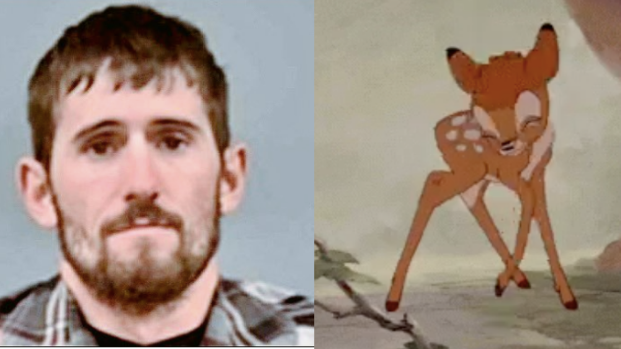 Missouri Deer Poacher's Sentence Includes Odd And Extremely Fitting Punishment 😮