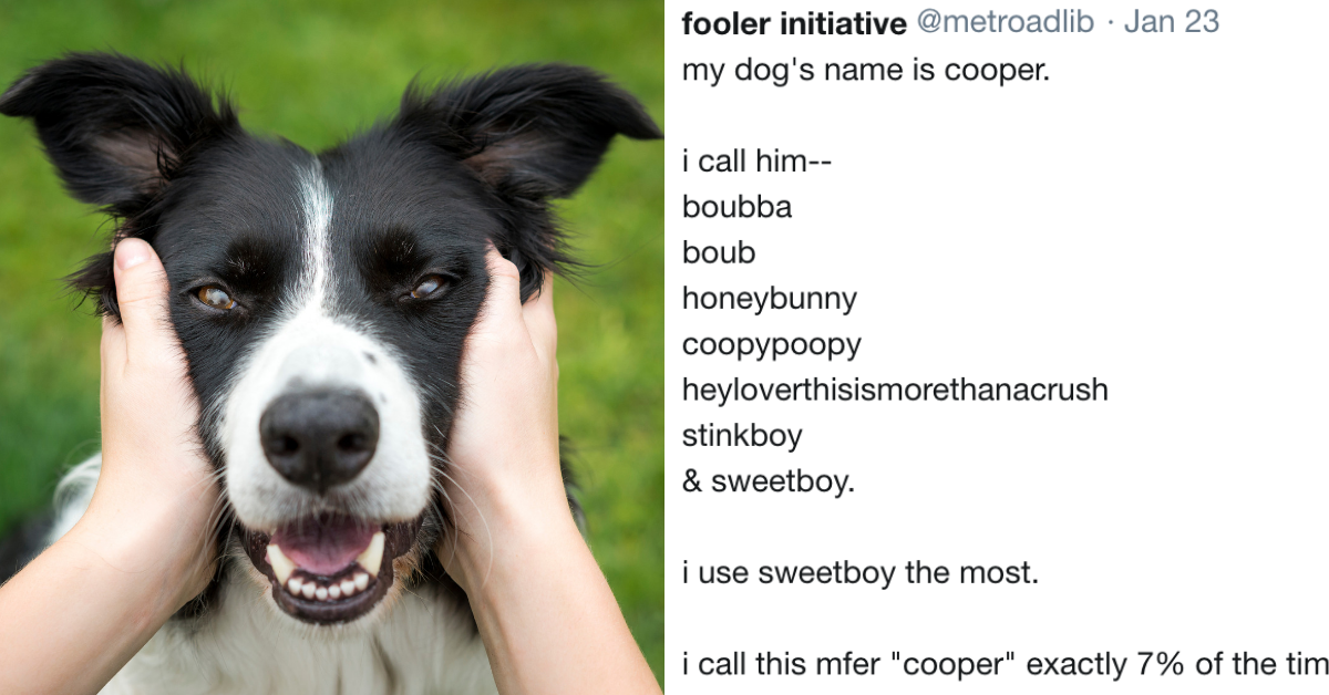 Pet Owners Reveal All The Things They Call Their Pets Besides Their Actual Names 😂