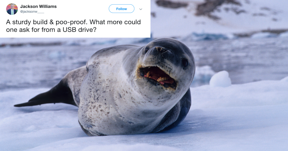 Scientists Are Trying To Reunite A USB Stick They Found In Some Leopard Seal Poop With Its Rightful Owner