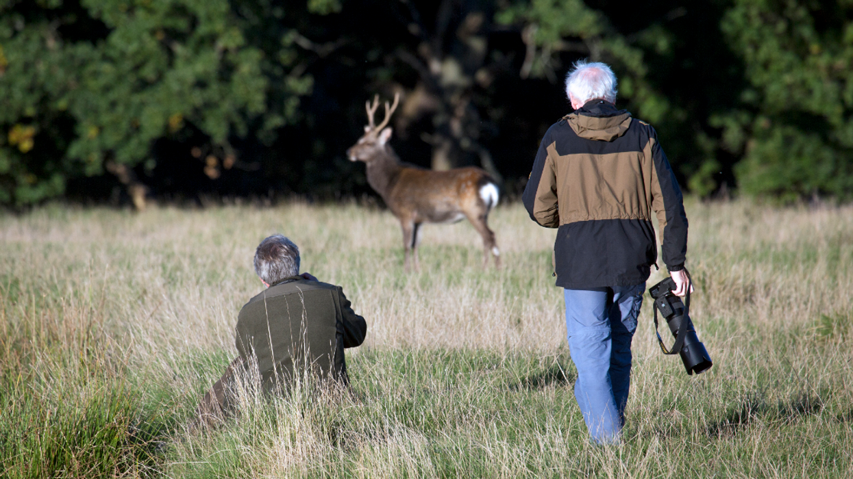 The Photo That Won This Year's LUMIX People's Choice Award For Wildlife Photographer Of The Year Is An Absolute Stunner