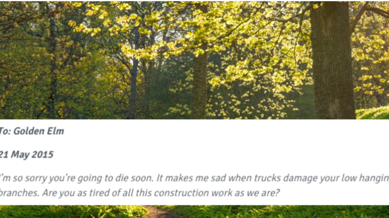 People Are Emailing Thousands Of Love Letters To Trees. Yes, Trees Have Emails Now.