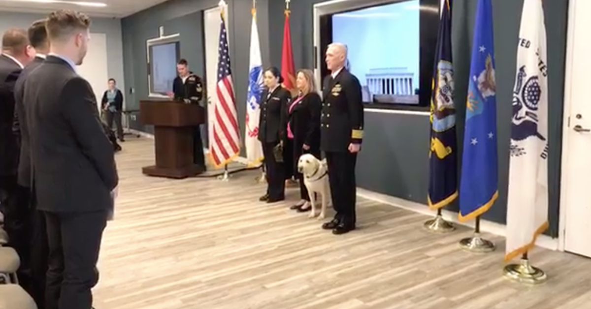 The US Navy Just Got Its Newest Recruit—George H.W. Bush’s Service Dog