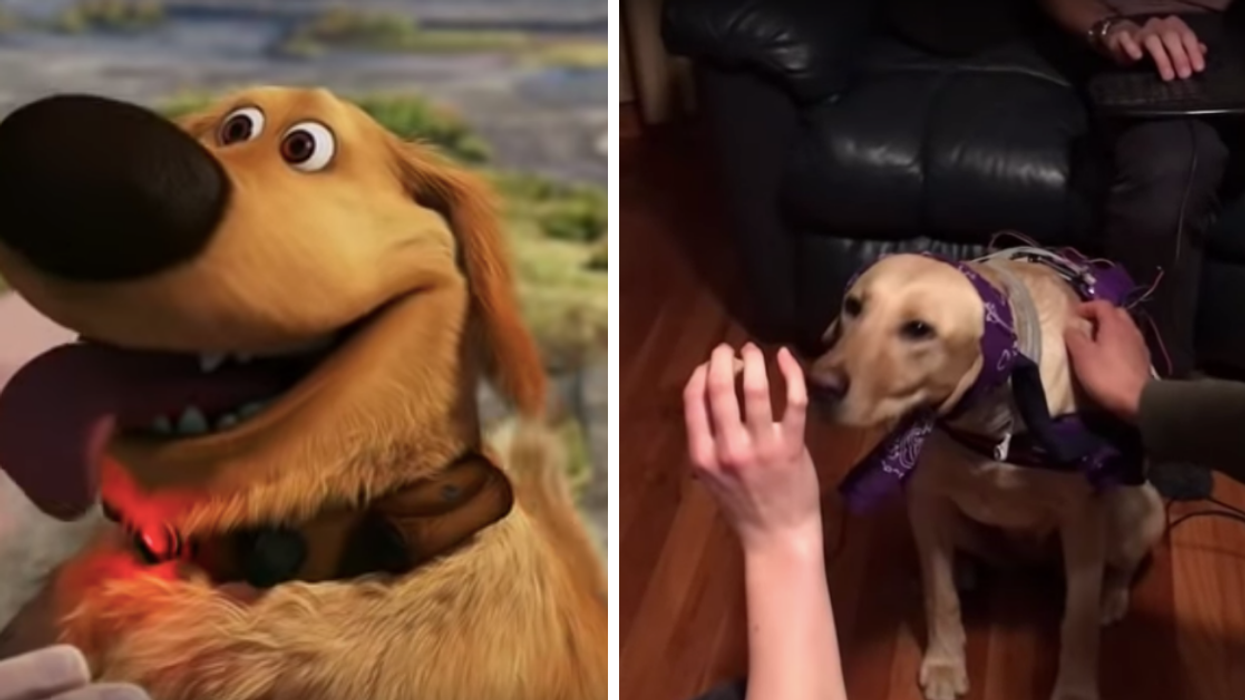 Some College Students Basically Got Us One Step Closer To That Talking Dog From 'Up'