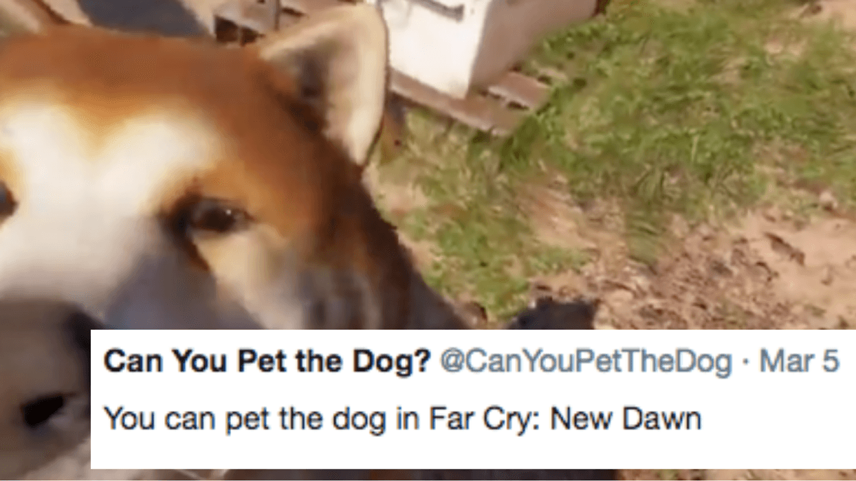 This Twitter Account Is Devoted To Answering A Very Important Question About Video Games: Can You Pet The Dog?