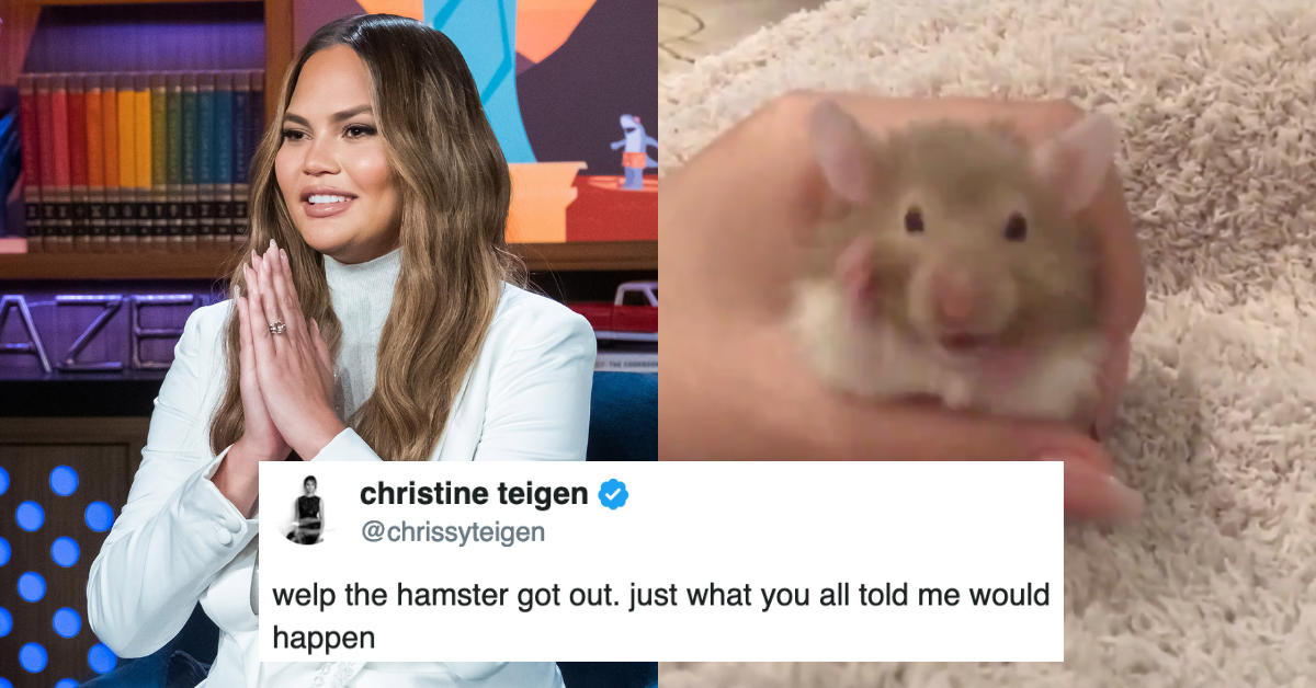 Chrissy Teigen Took Twitter On A Wild And Hilarious Ride After She Lost Her New Pet Hamster