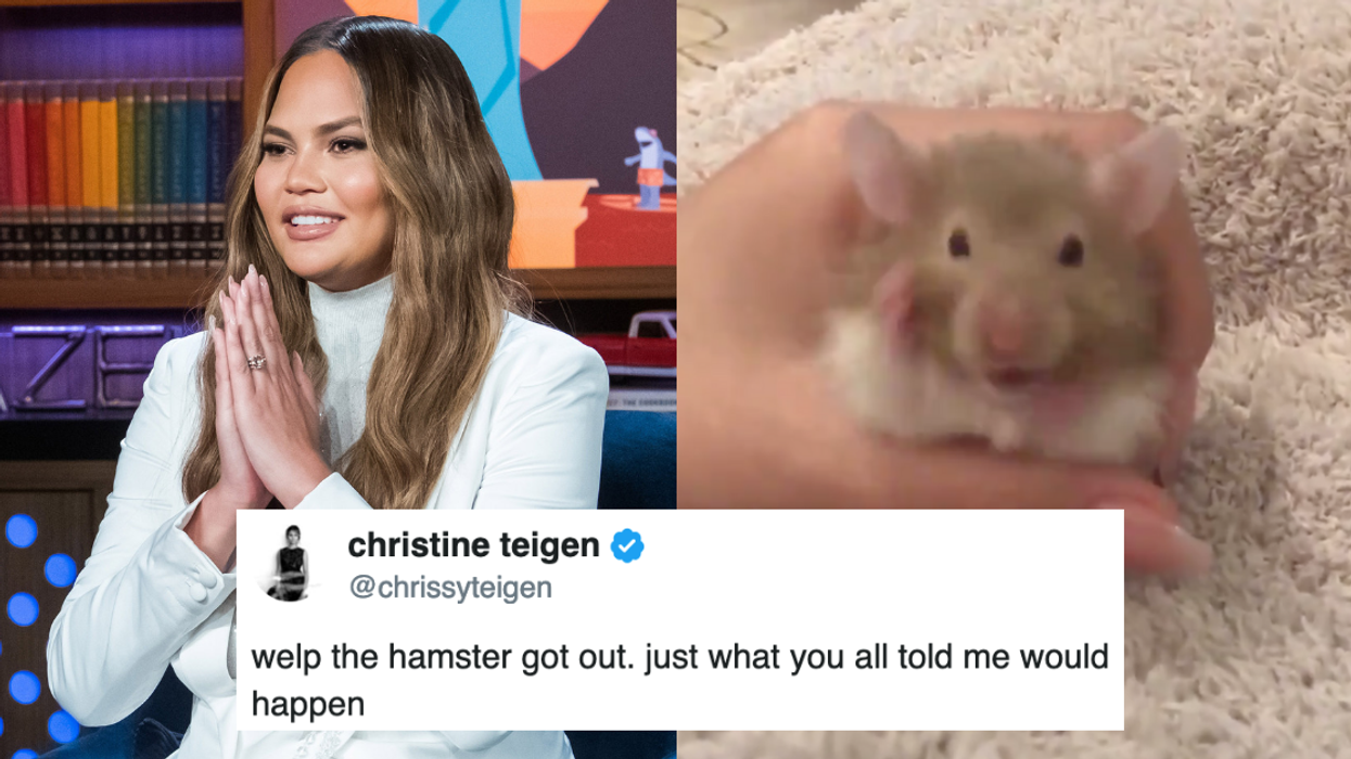 Chrissy Teigen Took Twitter On A Wild And Hilarious Ride After She Lost Her New Pet Hamster