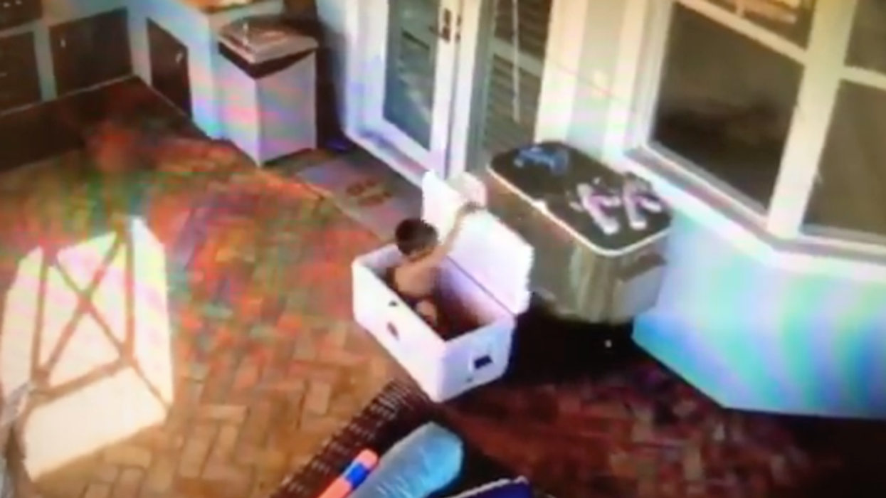 Igloo Is Recalling Its Coolers After A Disturbing Video Of A 5-Year-Old Boy Getting Trapped In One Surfaces Online
