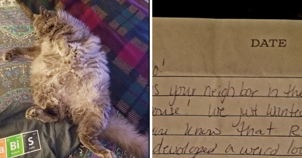 Cat Returns To Owner With An Adorable Note From His Neighbors
