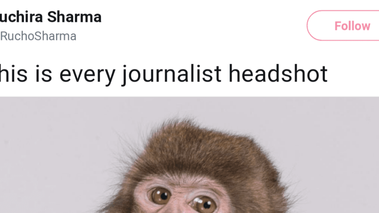 This Photo Of A Monkey Has Journalists LOLing And Relating Hard For Its Familiar Pose
