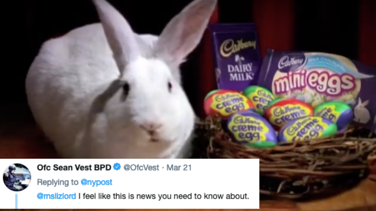 The New 'Cadbury Bunny' Is This Adorable 18-Month-Old Bulldog