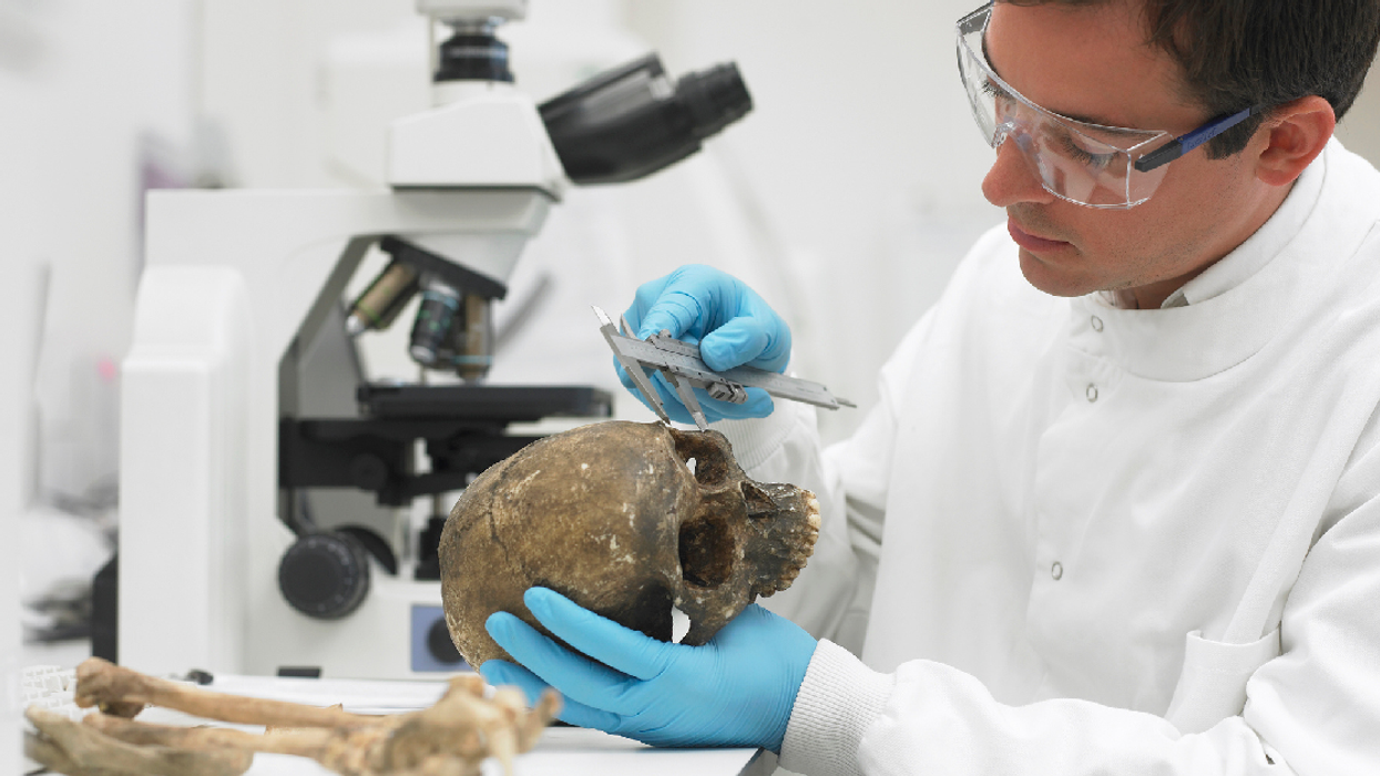 Scientists Just Discovered The Fossils Of What May Be A Previously Unknown Human Species