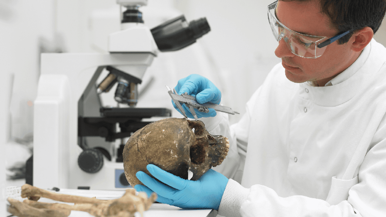 Scientists Just Discovered The Fossils Of What May Be A Previously Unknown Human Species