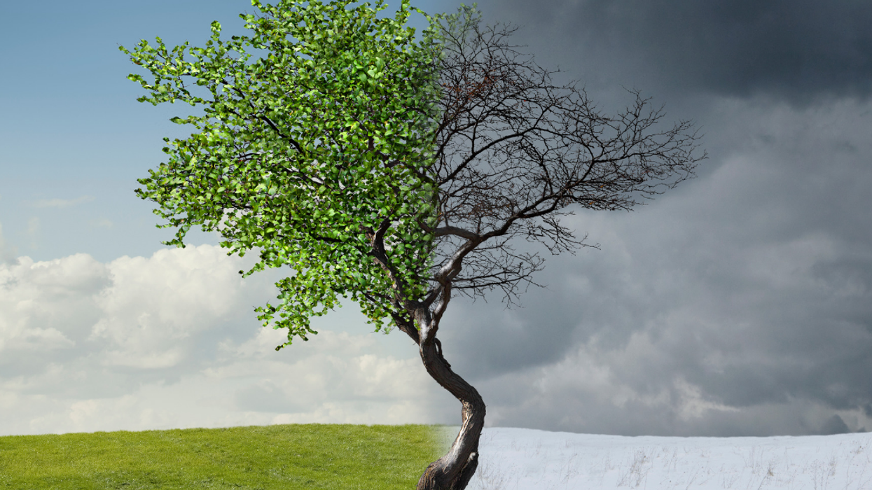 Colorado Just Had A Snow Storm After An Eighty-Degree Day And People Don't Know What Season It Is Anymore