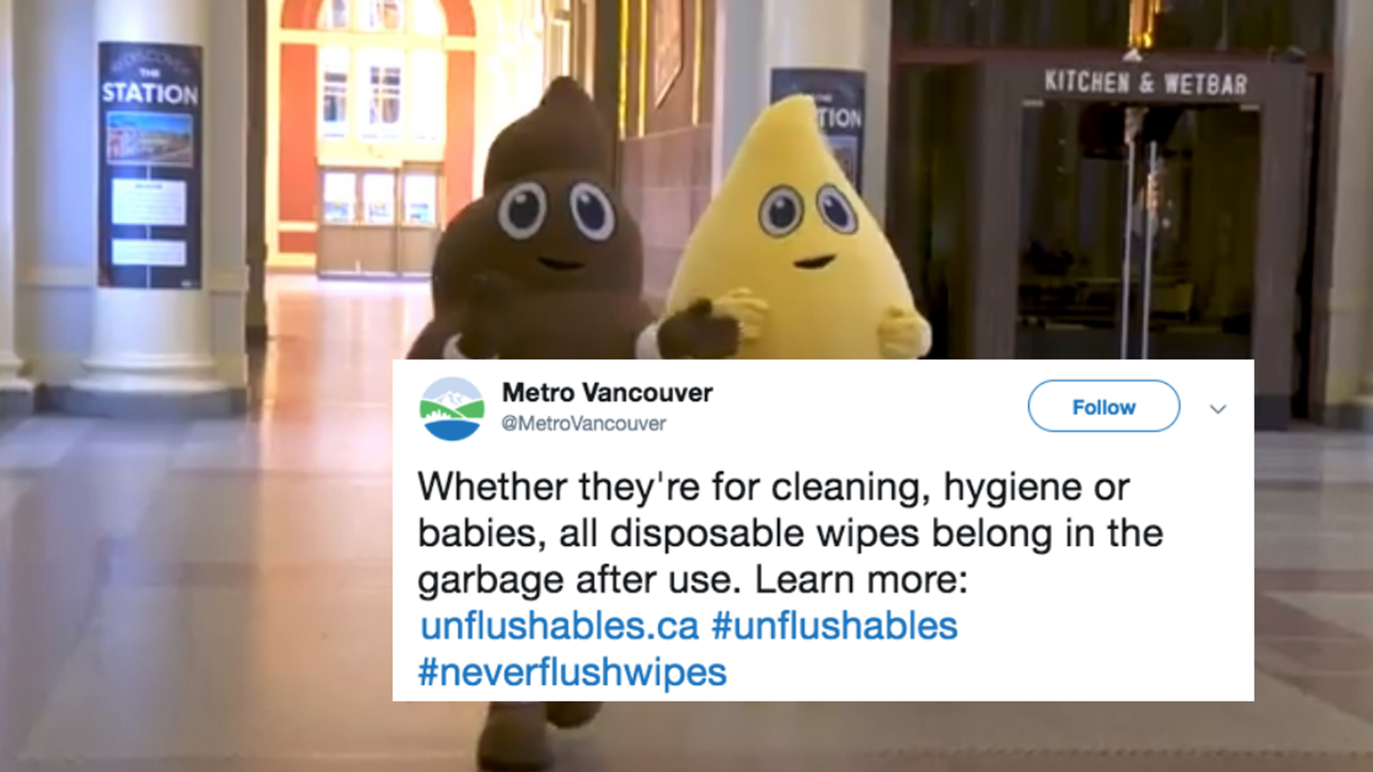 Vancouver's Unusual New 'Pee' And 'Poo' Mascots Are Here To Stop You From Clogging The Sewers