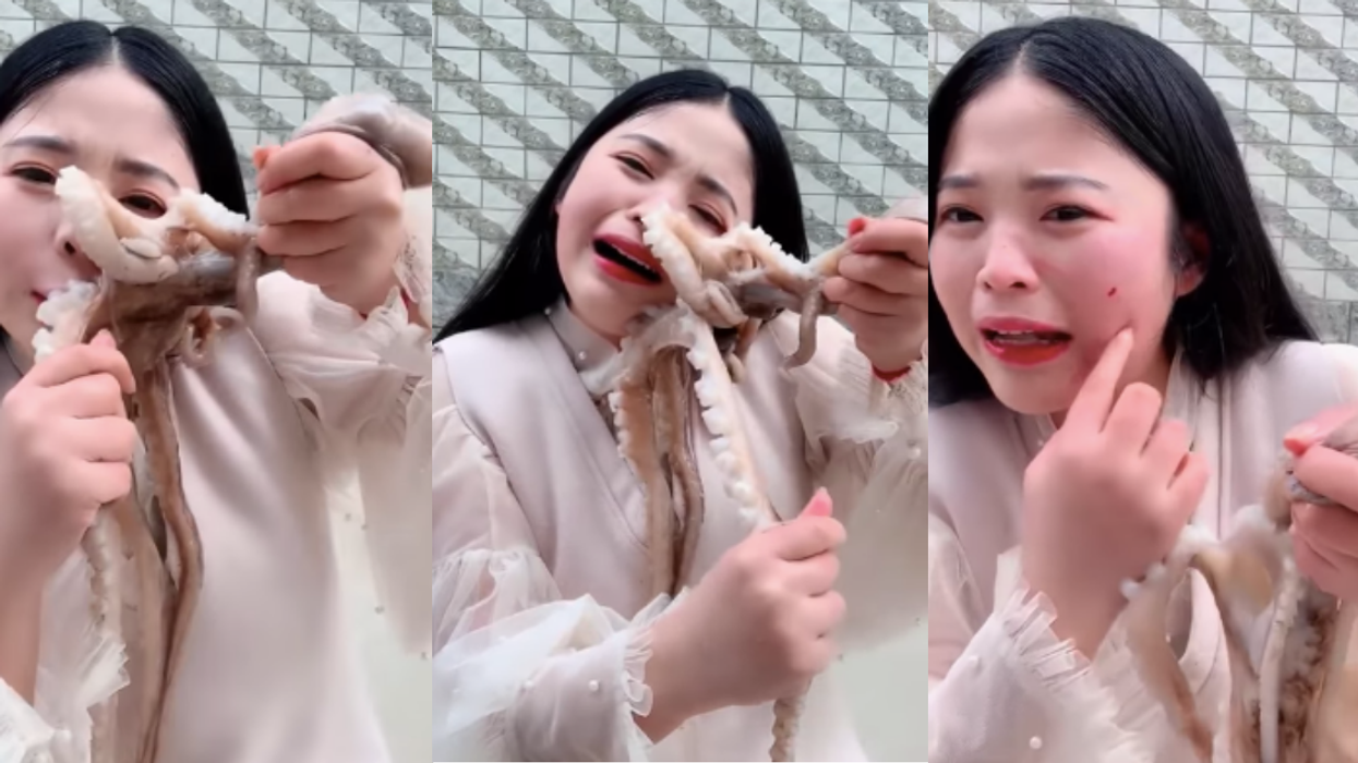 Livestreamer Tries To Eat Live Octopus—And It Makes Her Regret It Instantly