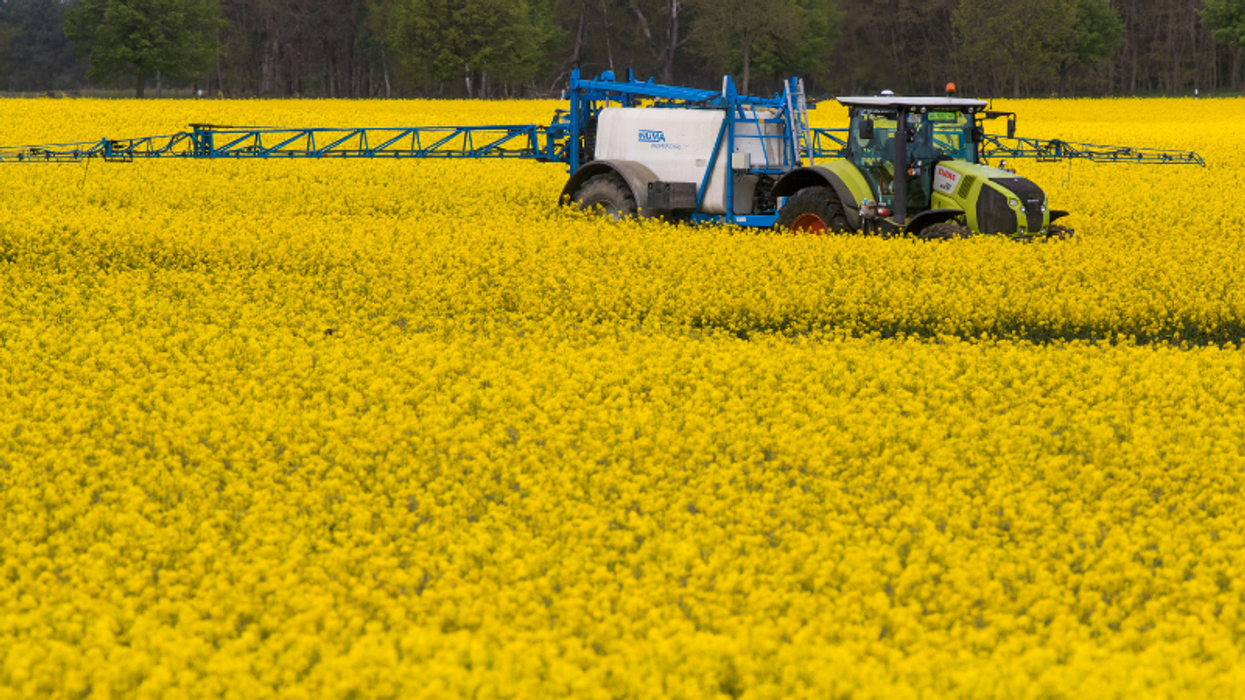 Jury Orders Monsanto To Pay California Couple Over $2 Billion In Historic Verdict