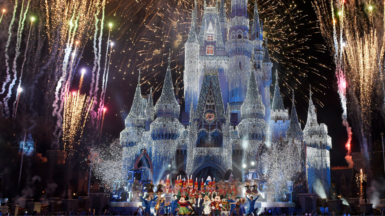 Woman Sues Disney For Being Hit In The Head By A Wild Bird While At Disney World