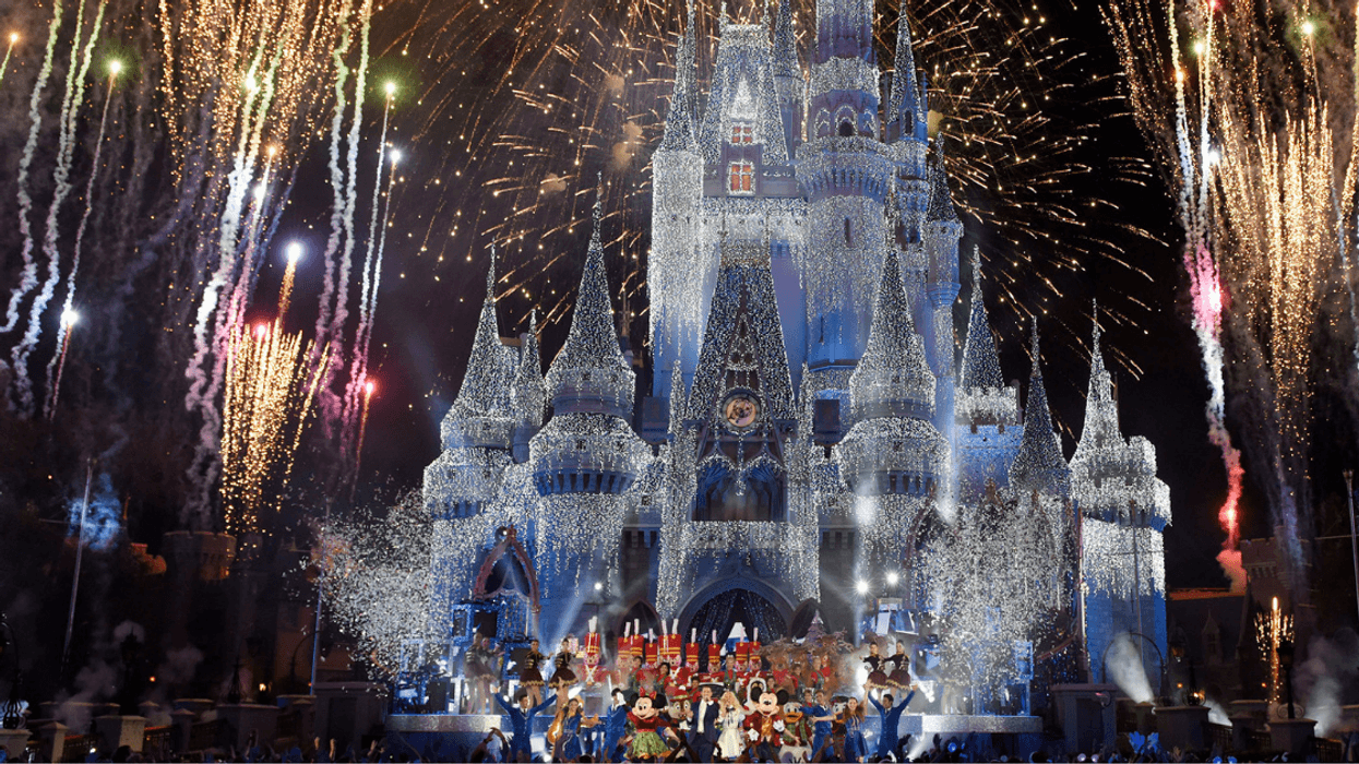 Woman Sues Disney For Being Hit In The Head By A Wild Bird While At Disney World