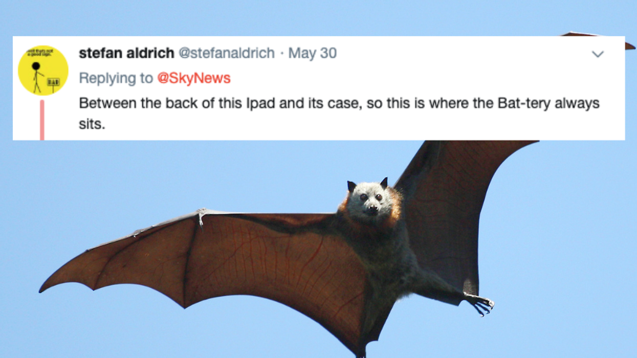 Rabid Bat Hiding In iPad Case Bites Man—And We Have Questions