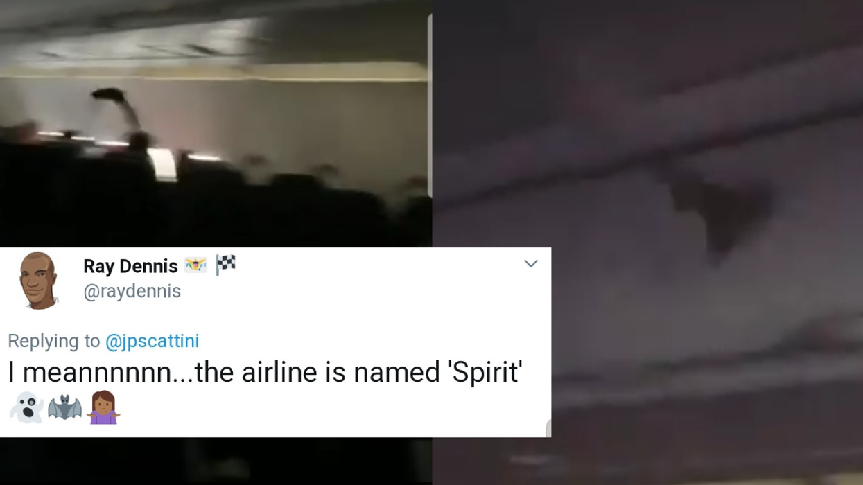 Bat Aboard Spirit Airlines Flight Sends Passengers Into Full-On Chaos And Panic Mode
