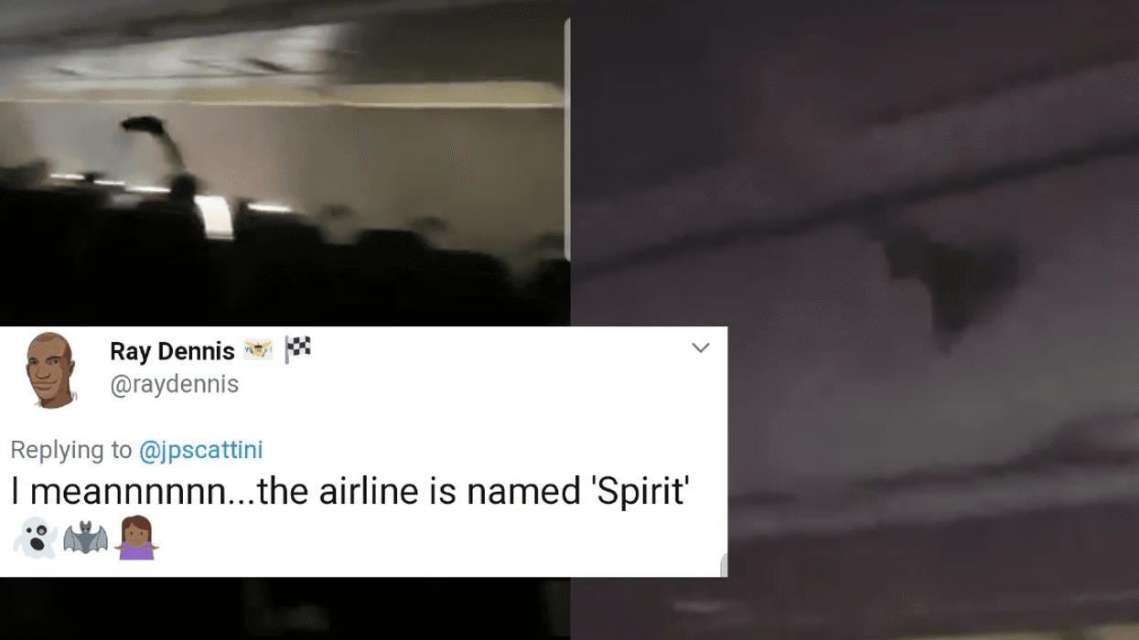 Bat Aboard Spirit Airlines Flight Sends Passengers Into Full-On Chaos And Panic Mode
