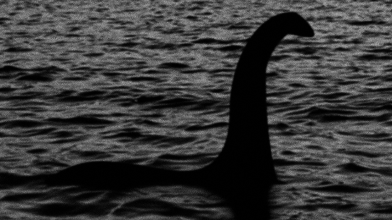 Loch Ness Monster DNA Study Says Giant Eels Most 'Plausible' Explanation For Sightings