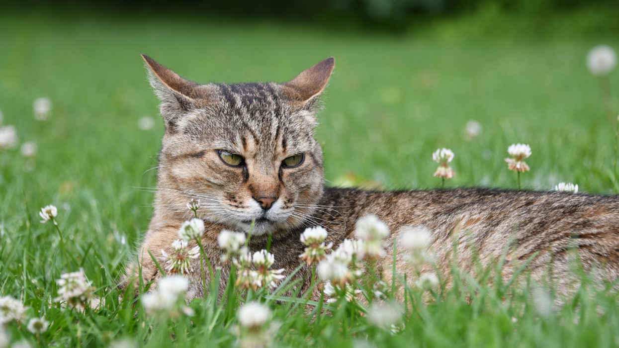 People Explain How To Politely End A Conversation With Someone Who Won't Stop Talking