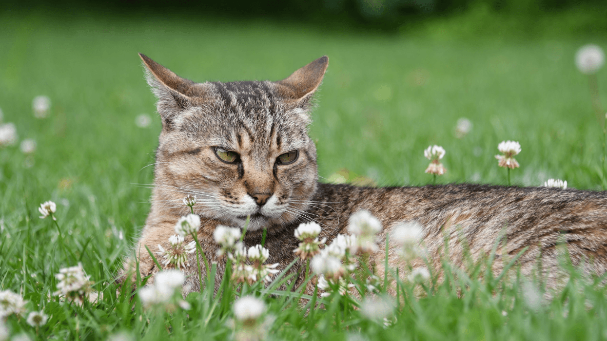 People Explain How To Politely End A Conversation With Someone Who Won't Stop Talking