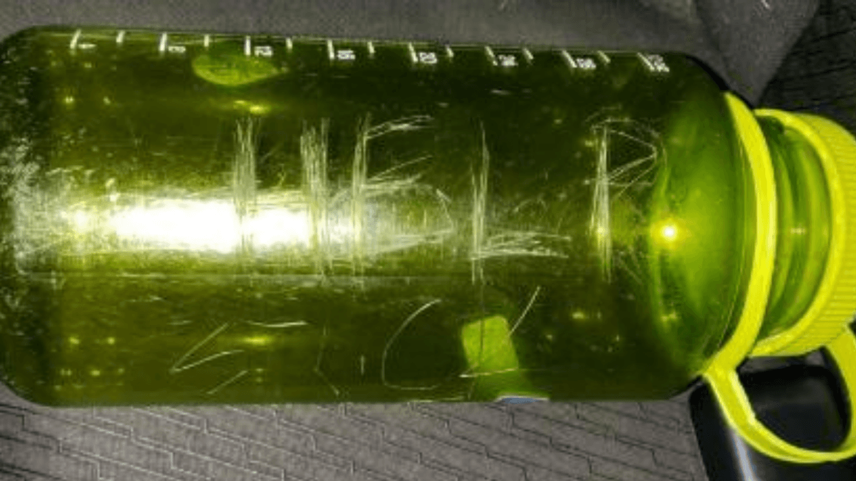 Two Hikers Help Rescue Stranded Family After Finding Their Message In A Bottle, Now The Family Wants To Thank Them