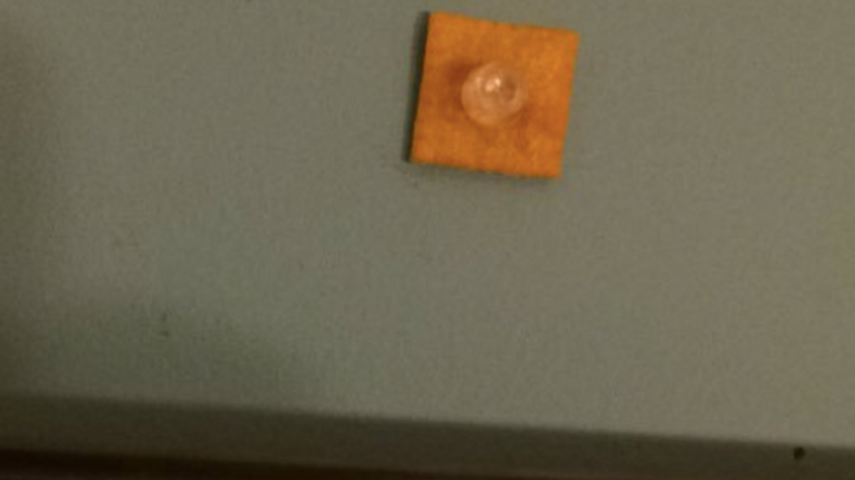 Internet Mourns After Woman's Nearly Four-Year-Long Cheez-It Prank On Her Dad Is Ruined By Brother-In-Law