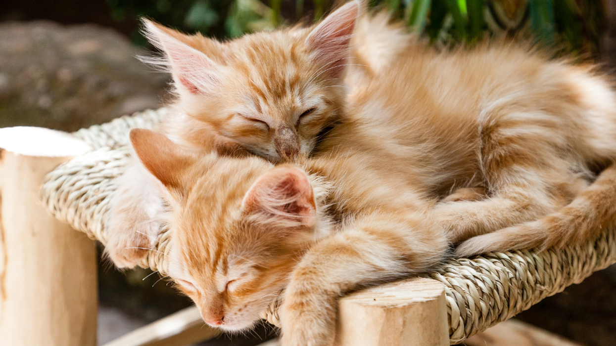 People Share What They Think Are The Best Non-Sexual Physical Sensations