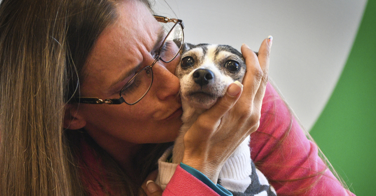 Dog Who Was Missing For 12 Years Reunites With Owner After Being Found Over 1,000 Miles From Home