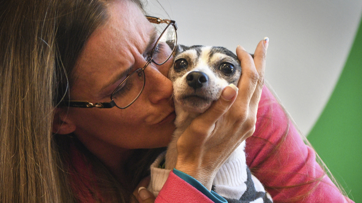 Dog Who Was Missing For 12 Years Reunites With Owner After Being Found Over 1,000 Miles From Home