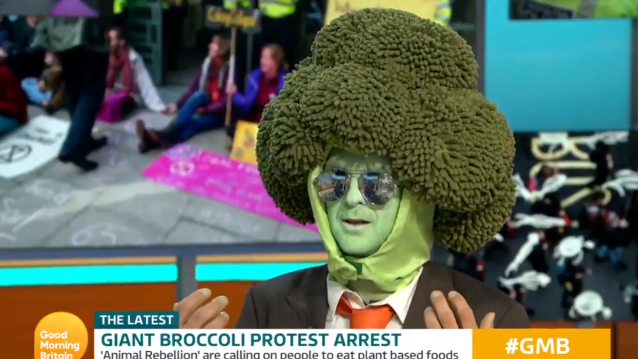 Extinction Rebellion Protester Dressed As A Broccoli Has Morning Show Hosts Scratching Their Heads During Bizarre Interview
