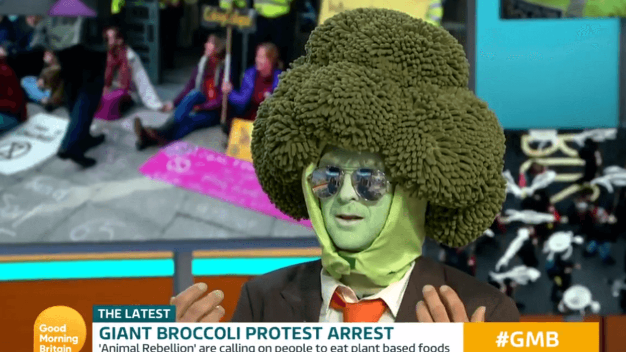 Extinction Rebellion Protester Dressed As A Broccoli Has Morning Show Hosts Scratching Their Heads During Bizarre Interview