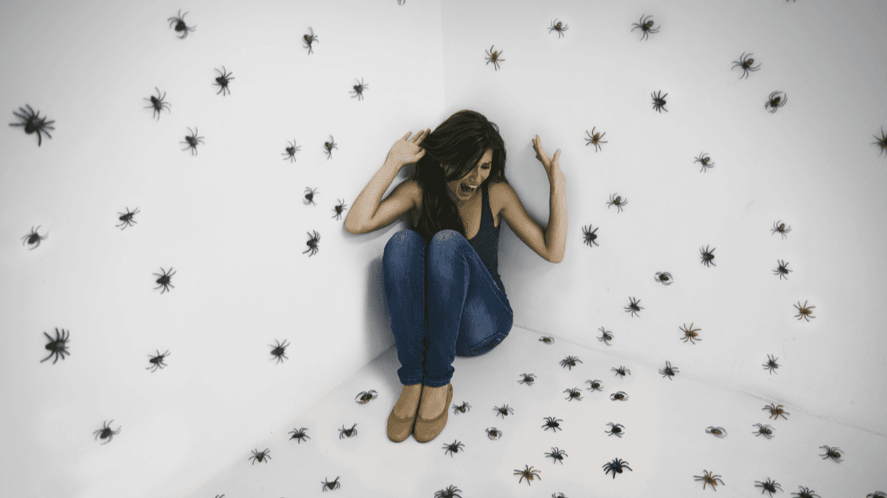 People Share Their Insect Horror Stories